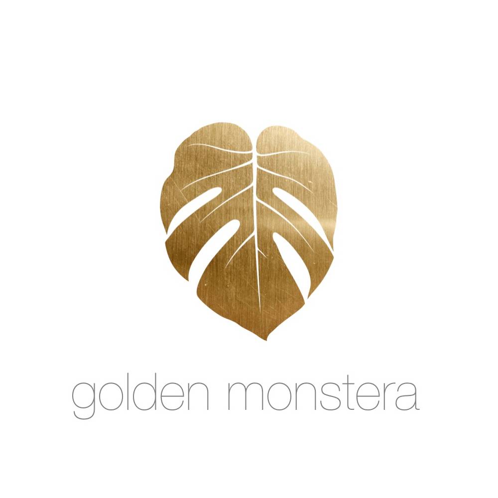 Golden Monstera